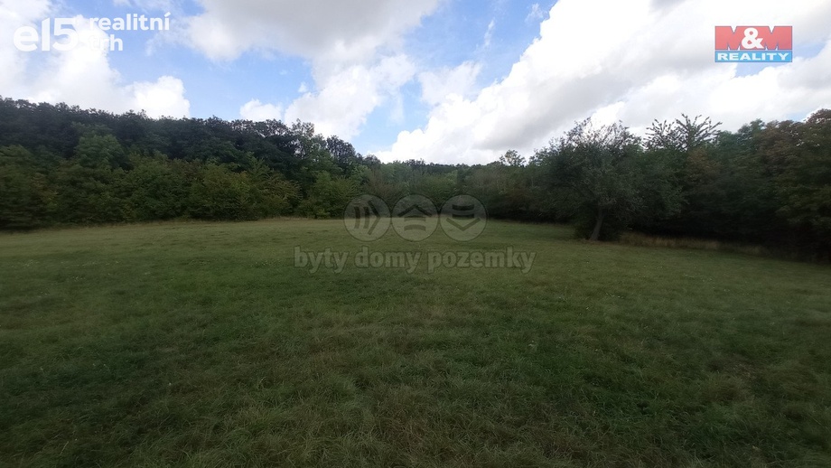 Prodej pozemky - trvalý travní porost, 12 373 m² - Jenčice