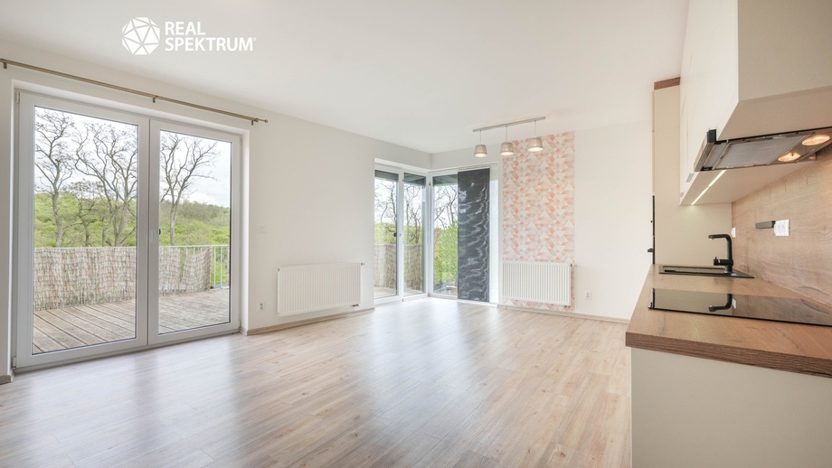 Prodej bytu 3+kk 74 m², Hajany