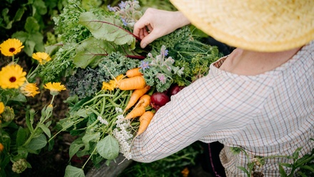 Prodej stavebního pozemku 4 292 m², Sušice