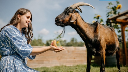 Prodej stavebního pozemku 4 292 m², Sušice