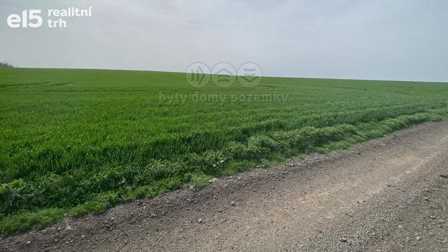 Prodej zemědělská půda, 19 324 m² - Podolanka