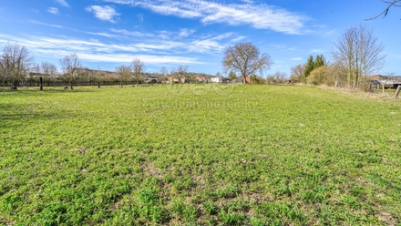 Prodej stavebního pozemku 2 948 m², Pastuchovice