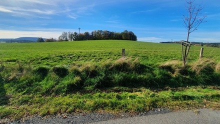 Prodej louky 36 593 m², Šluknov