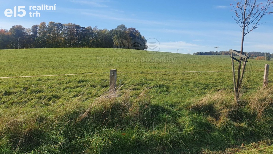 Prodej pozemky - trvalý travní porost, 36 593 m² - Šluknov