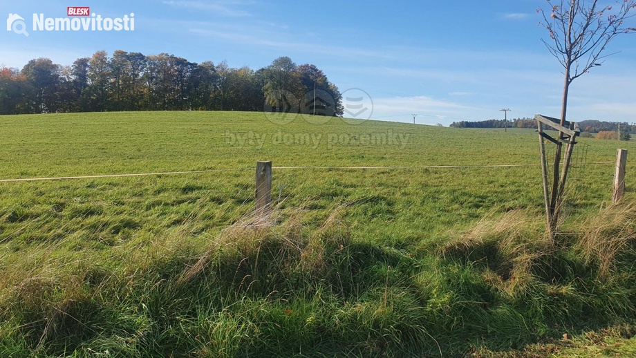 Prodej louky 36 593 m², Šluknov