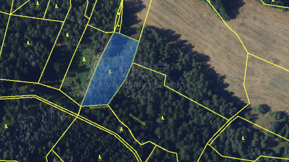 Prodej lesa 11 616 m², Pernštejnské Jestřabí - Maňová