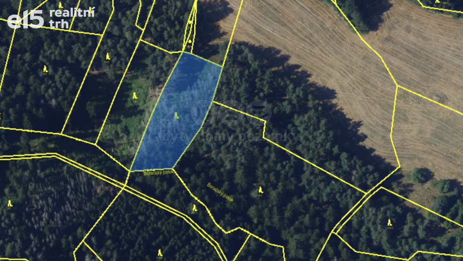 Prodej lesy, 11 616 m² - Pernštejnské Jestřabí - Maňová