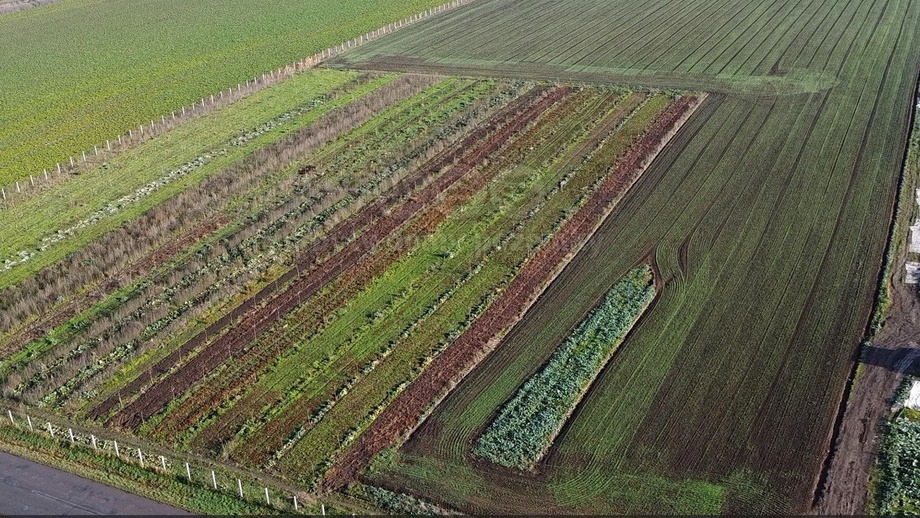 Prodej zemědělská půda, 9 979 m² - Nové Dvory