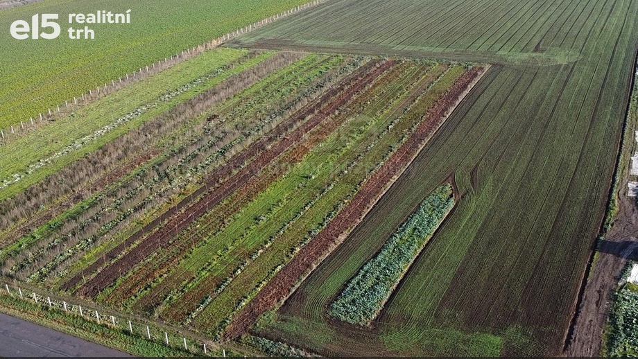 Prodej zemědělská půda, 9 979 m² - Nové Dvory
