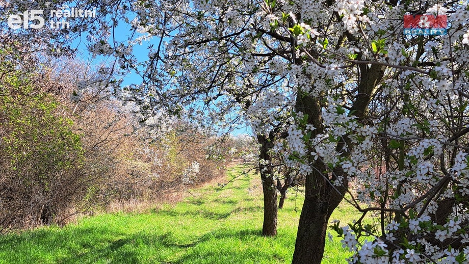 Prodej zemědělská půda, 4 734 m² - Židlochovice