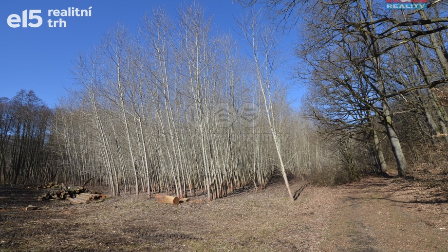 Prodej zemědělská půda, 15 467 m² - Popůvky