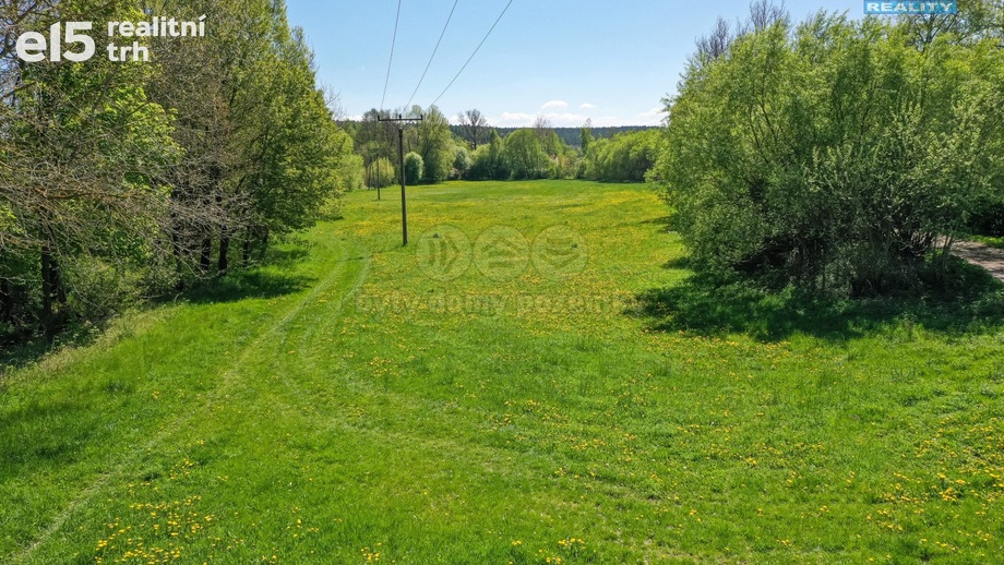 Prodej louky 4 590 m², Horní Bříza
