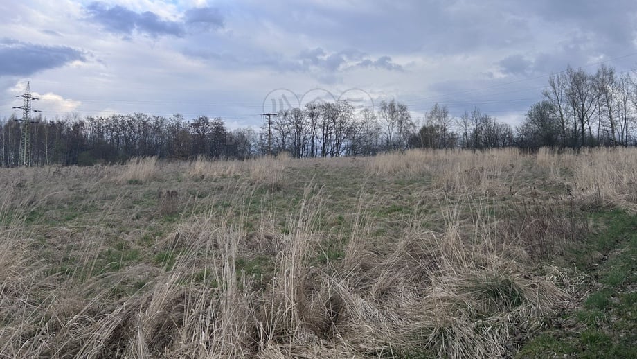 Prodej zahrady 13 719 m², Doubrava
