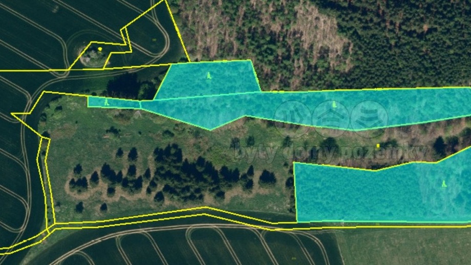 Prodej lesa 17 628 m², Bělá