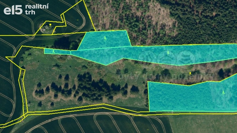 Prodej lesy, 17 628 m² - Bělá