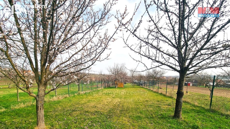 Prodej zemědělská půda, 4 096 m² - Starý Poddvorov