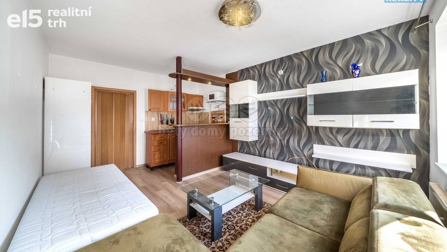 Prodej byty 1+kk, 26 m² - Plzeň - Východní Předměstí