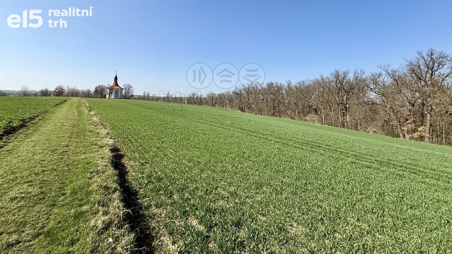 Prodej zemědělská půda, 1 598 m² - Číčovice