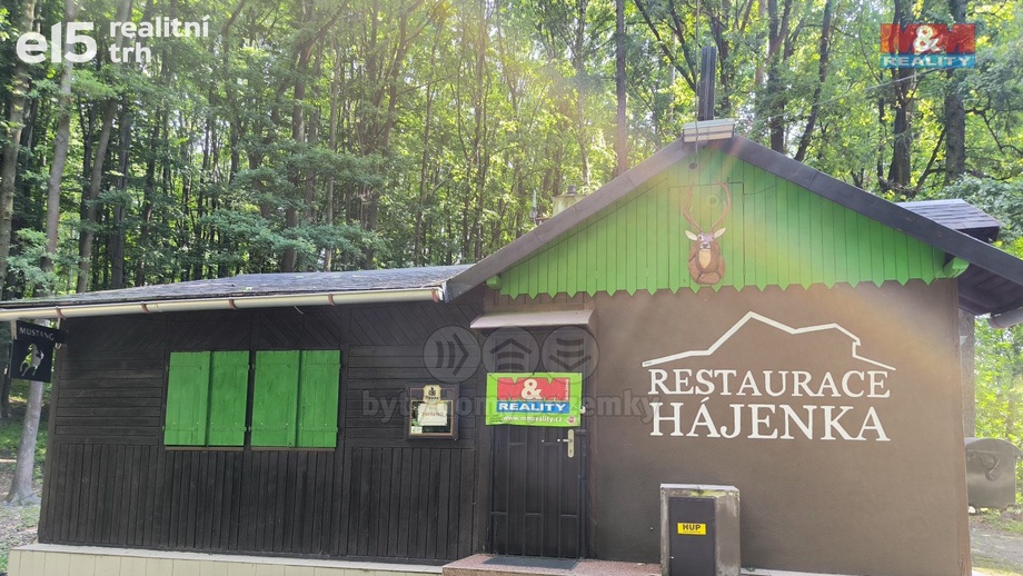Pronájem restaurace, 330 m² - Orlová - Lutyně
