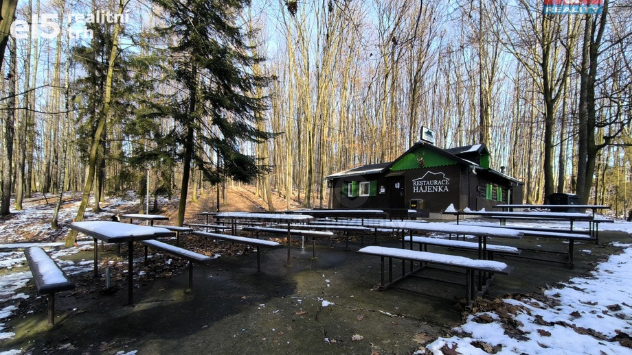 Pronájem restaurace, 330 m² - Orlová - Lutyně