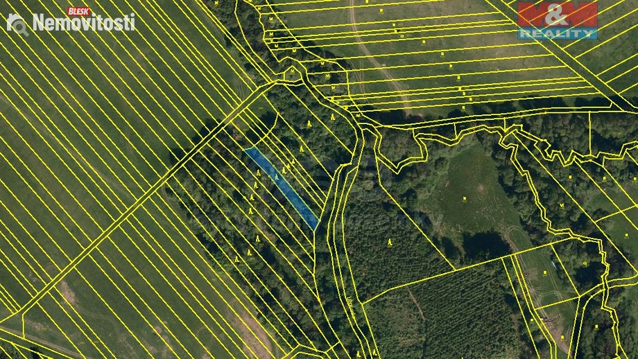 Prodej lesa 1 288 m², Loukov