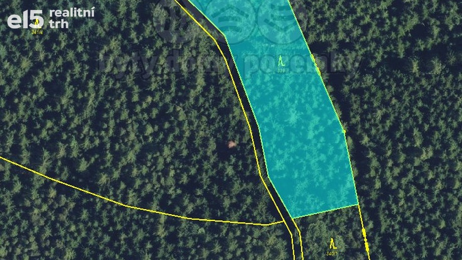Prodej lesy, 6 089 m² - Němčice