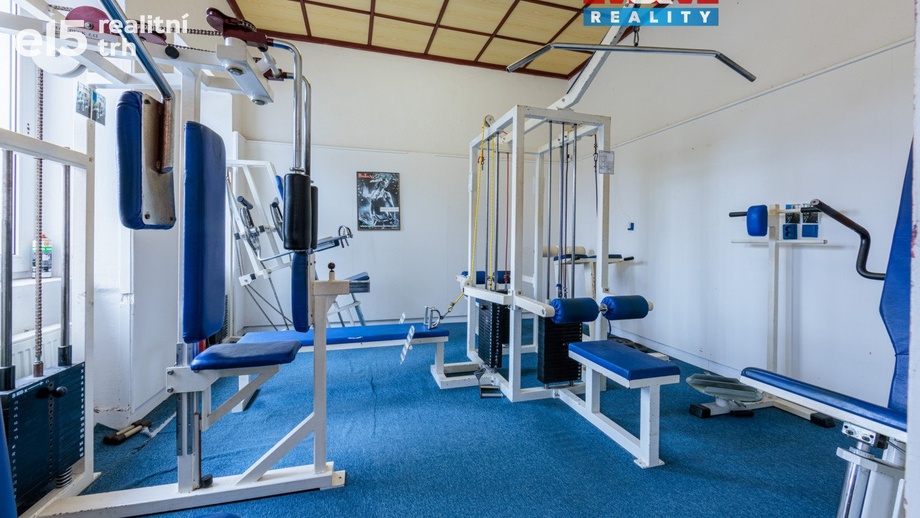 Prodej obchodního prostoru 200 m², Aš