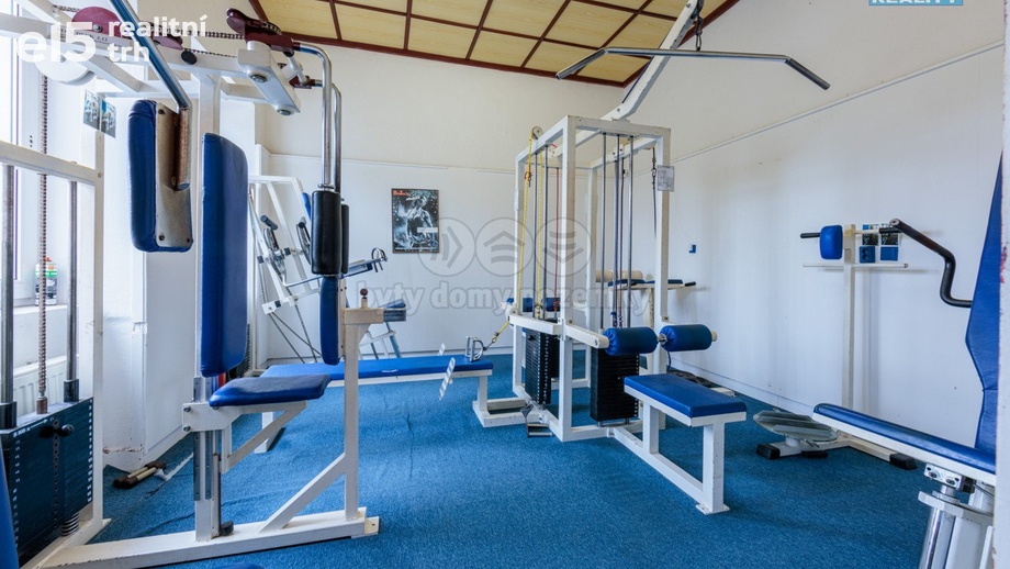 Prodej obchodní prostory, 200 m² - Aš