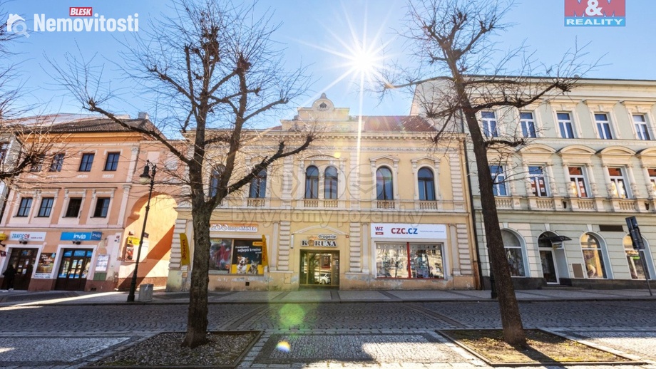 Prodej obchodního prostoru 1 353 m², Louny
