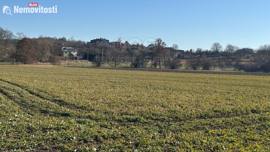 Prodej pole 10 577 m², Podbořany