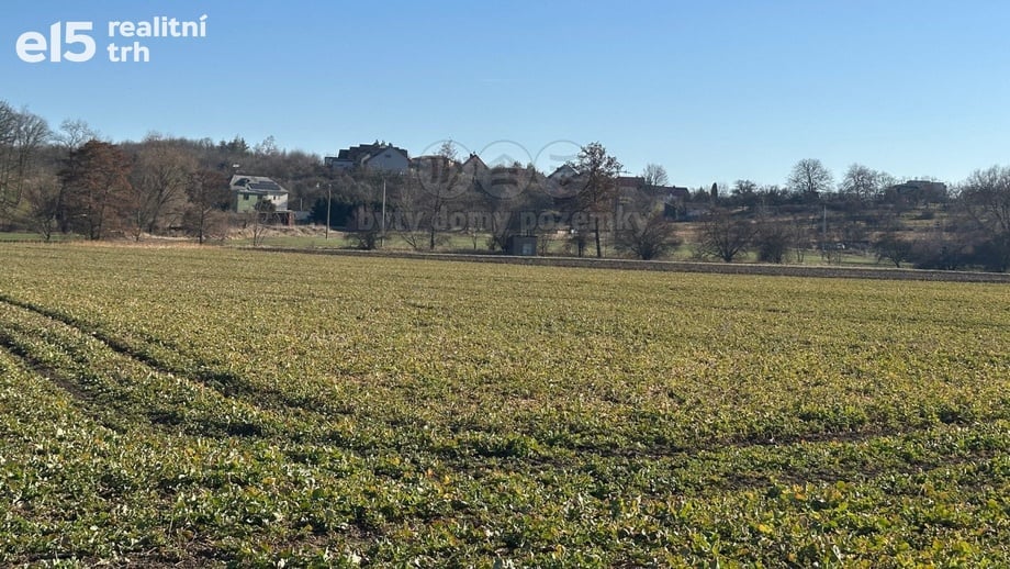 Prodej pole 10 577 m², Podbořany