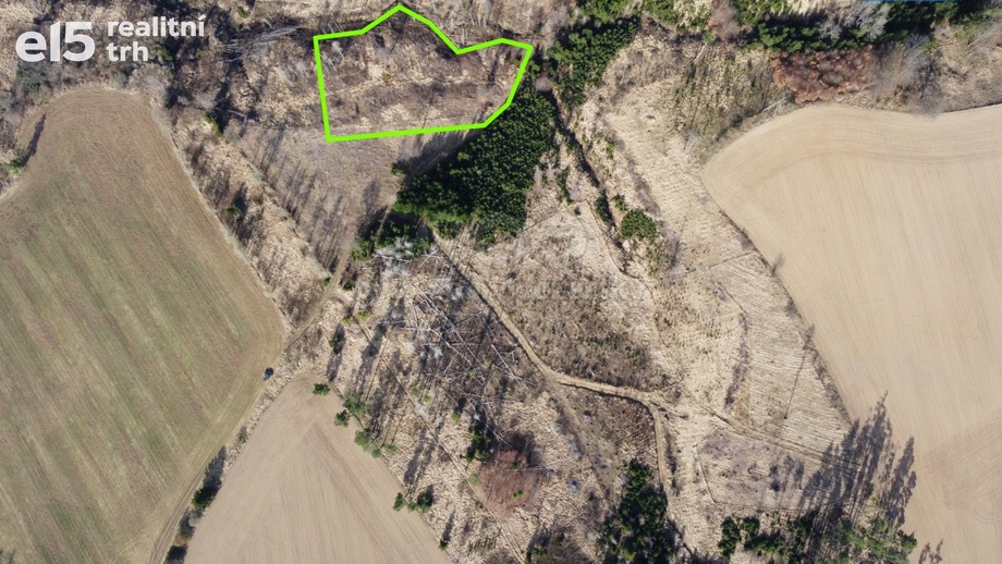 Prodej lesy, 4 251 m² - Senožaty