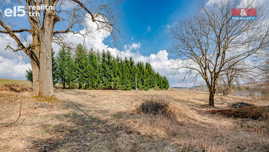 Prodej pozemky pro bydlení, 5 453 m² - Rokytnice v Orlických horách