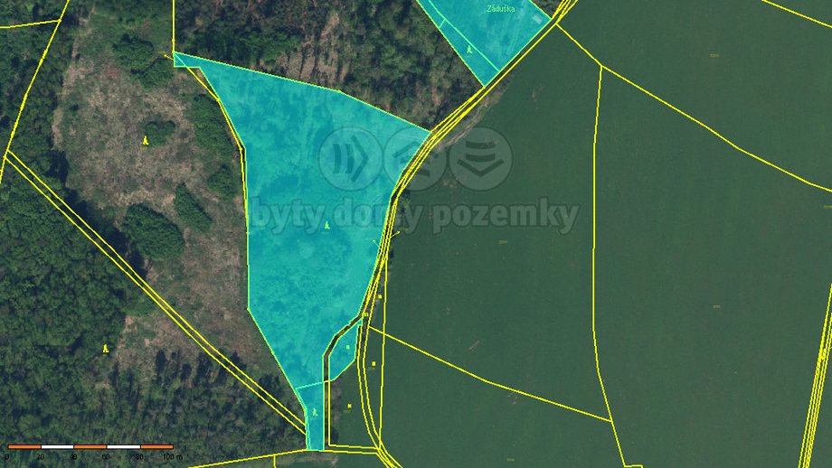 Prodej lesa 19 927 m², Dobruška - Pulice