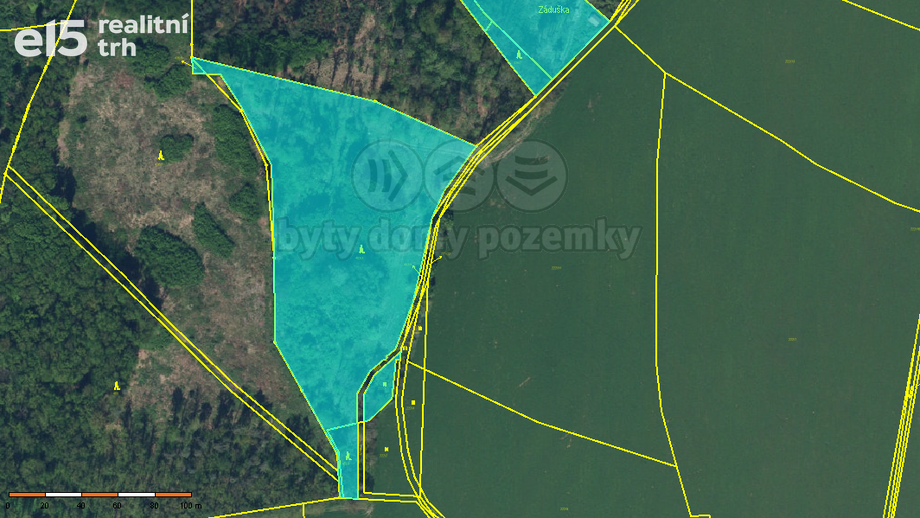 Prodej lesy, 19 927 m² - Dobruška - Pulice