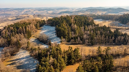 Prodej lesa 42 761 m², Nišovice