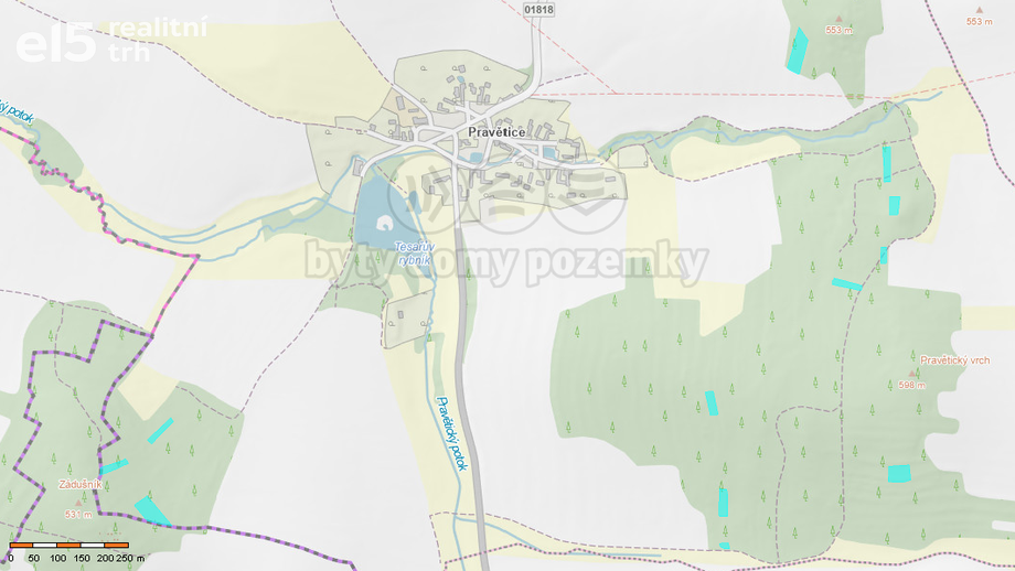 Prodej lesy, 19 561 m² - Načeradec - Pravětice