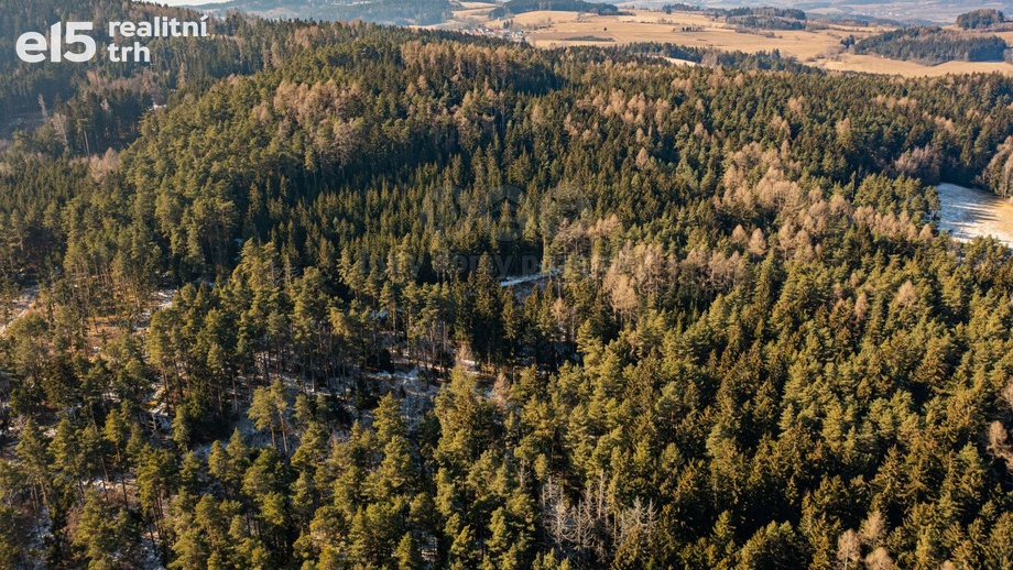 Prodej lesy, 4 038 m² - Volyně - Starov