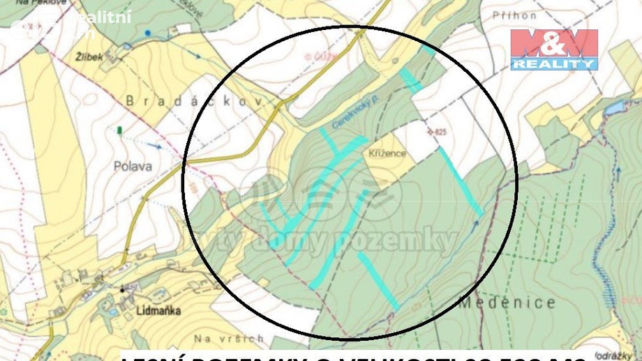 Prodej lesy, 98 528 m² - Moraveč