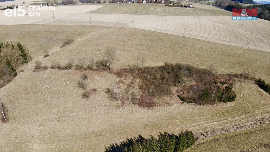 Prodej pozemky - trvalý travní porost, 15 081 m² - Rybná nad Zdobnicí