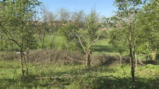 Prodej pozemky - zahrady, 400 m² - Postoloprty - Mradice