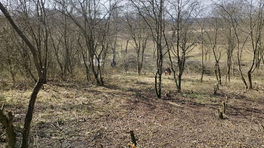 Prodej pozemky - zahrady, 400 m² - Postoloprty - Mradice