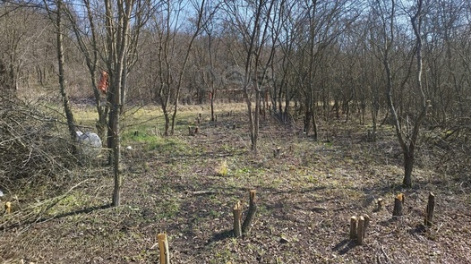 Prodej pozemky - zahrady, 400 m² - Postoloprty - Mradice