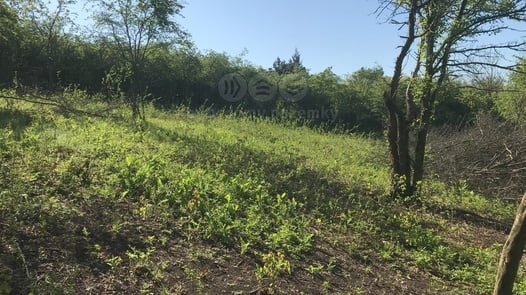 Prodej pozemky - zahrady, 400 m² - Postoloprty - Mradice