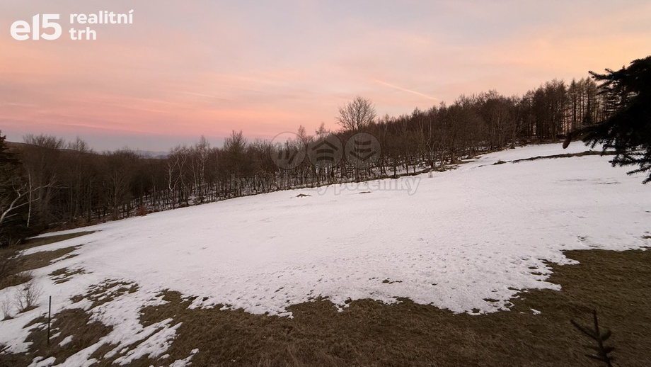 Prodej pozemky pro bydlení, 2 450 m² - Blatno