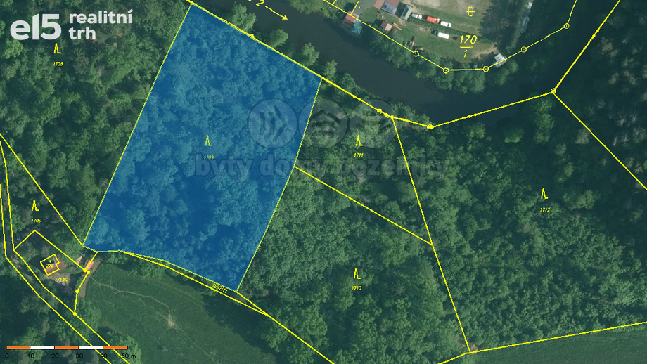Prodej lesy, 6 543 m² - Římov - Branišovice
