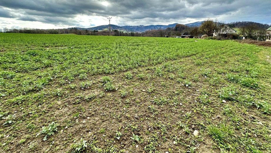 Prodej stavebního pozemku 4 849 m², Písečná