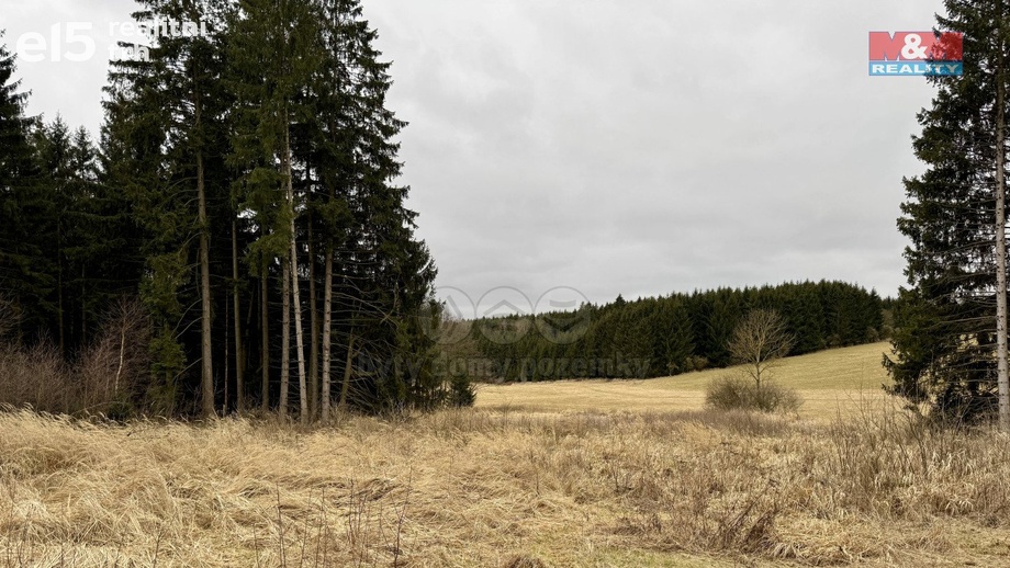 Prodej lesy, 1 580 m² - Kdyně - Starec