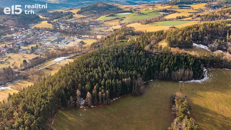 Prodej lesa 51 224 m², Malenice