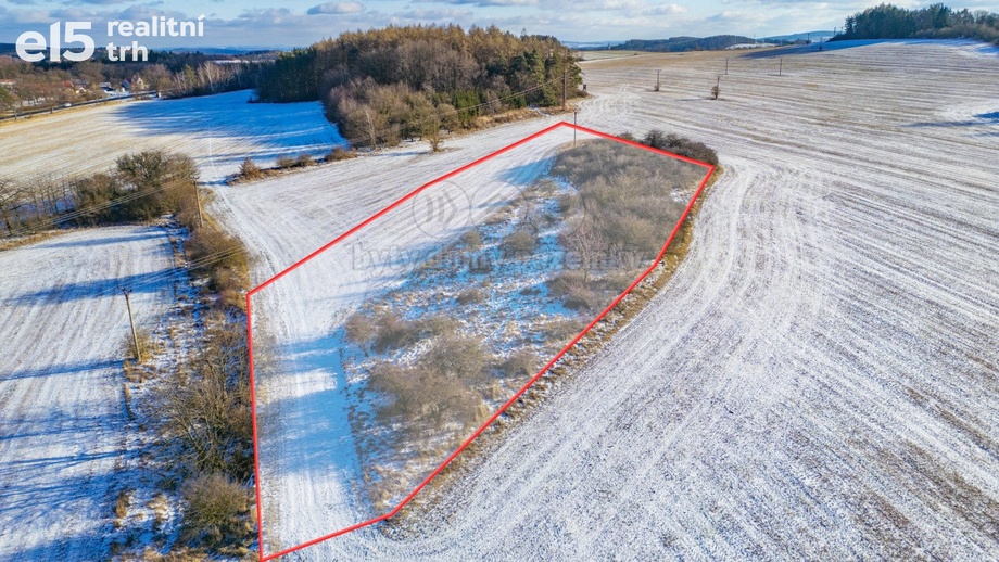 Prodej pozemky - trvalý travní porost, 6 006 m² - Lešetice